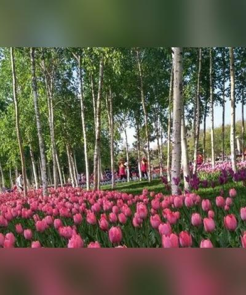 吉林踏春旅游攻略，必游景点一网打尽！
