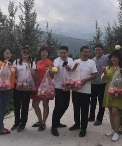 德阳越西最新发展动态与前景展望，新闻头条揭秘两地崭新面貌