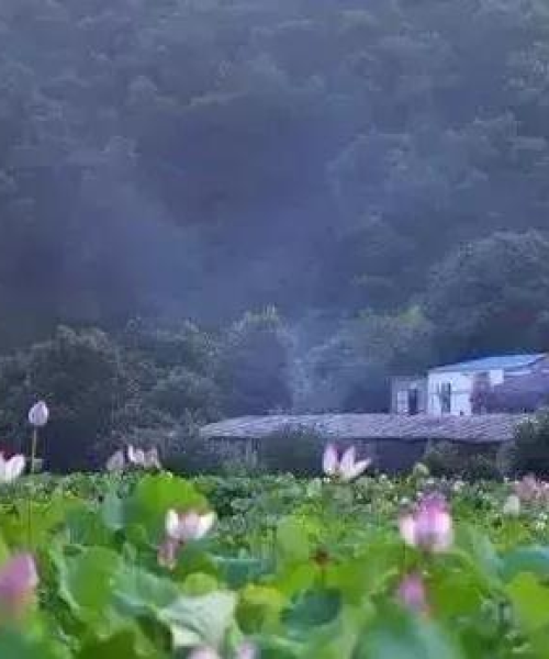 白沙新貌展现阳春新风采，白沙镇发展动态新闻头条