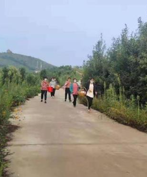 南阳最新土拍情报解析，今日土地交易动态速递