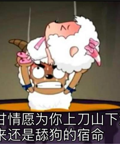甜狗测试攻略最新版，全方位指南助你轻松应对！