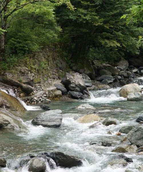 樟树生物公司排名及行业影响力全面解析