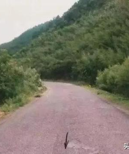 深山交警守护偏远山区平安之路的新闻头条