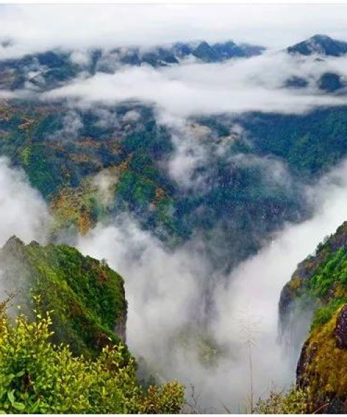 陈峭村探秘，绝美旅游攻略，领略乡村风情之美