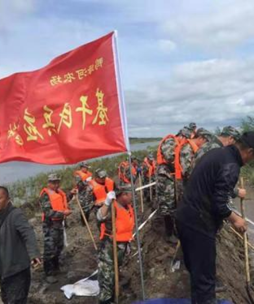 家园警戒攻略大全，守护家园必备指南视频合集