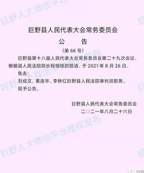 任免公示最新动态，今日关注揭秘最新任免信息！