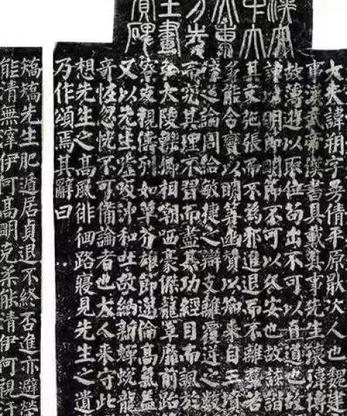 陵县最新动态，城市焕发活力，新消息不断