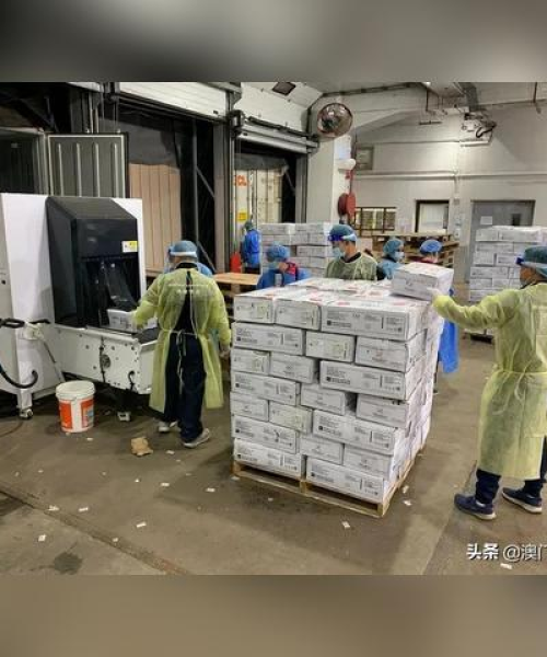 厦门至珠海隔离最新攻略解读，全方位指南助你无忧过关！