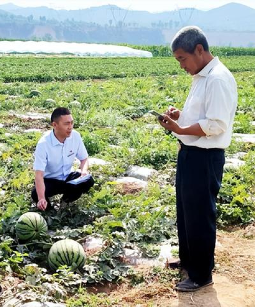 黎城养殖用地最新价格表揭秘，洞悉养殖产业成本变动趋势