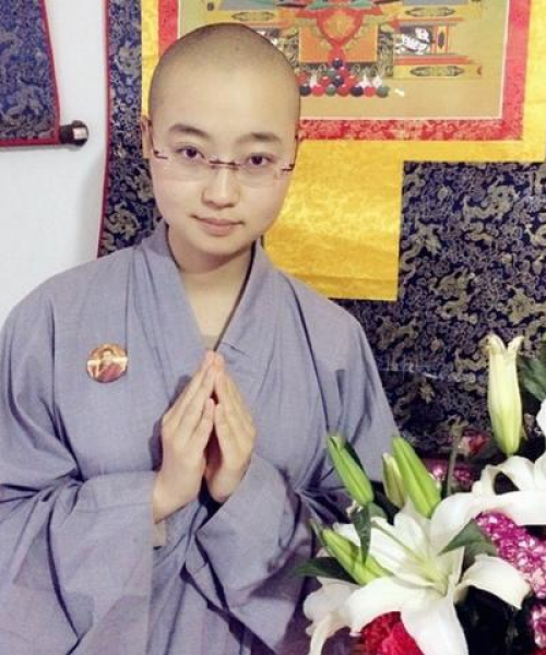 青岛至西藏神秘之旅，深度攻略，探索高原之美