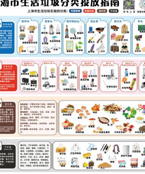 全网最新搜索玩法攻略，带你探索搜索的无限奥秘！