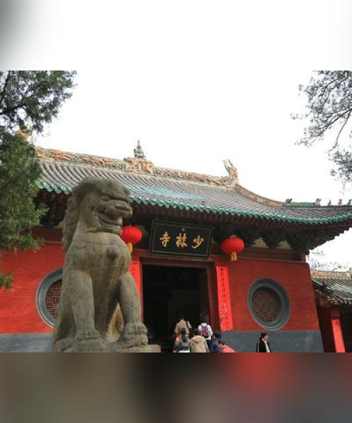 河南牛价今日最新行情分析，市场走势一网打尽