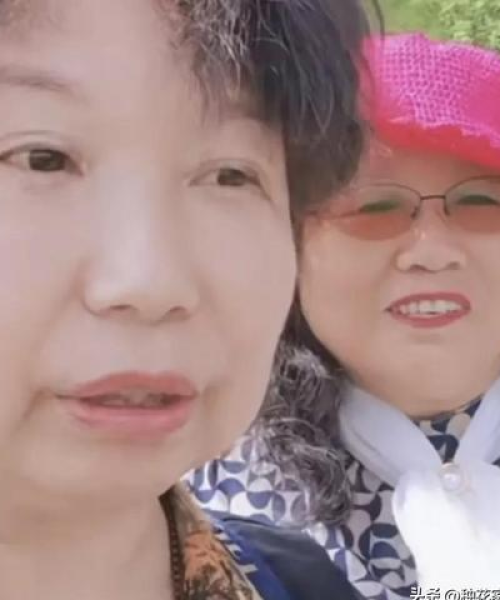 杜新枝最新动态揭秘，故事背后惊人进展今日揭晓！