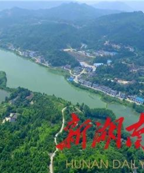 浏阳生猪今日最新价格行情及市场走势影响因素解析