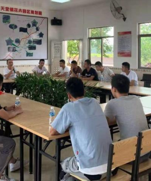 创业公司最新排名揭晓，揭示新兴企业潜力与未来展望