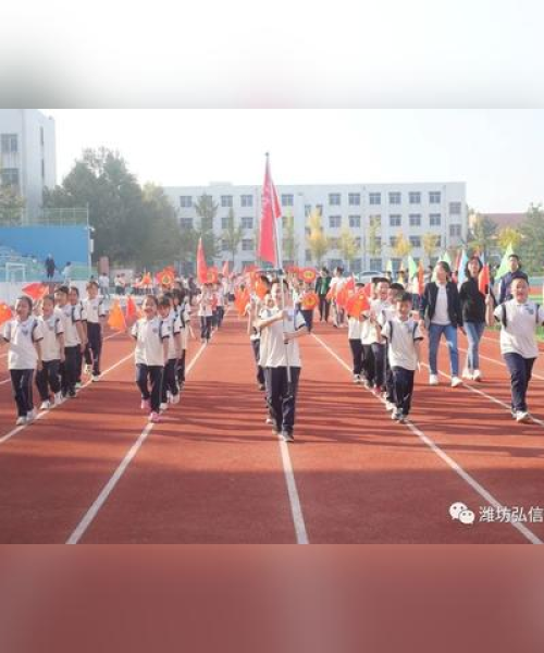 全球田径强国排名揭秘，背后的故事令人瞩目