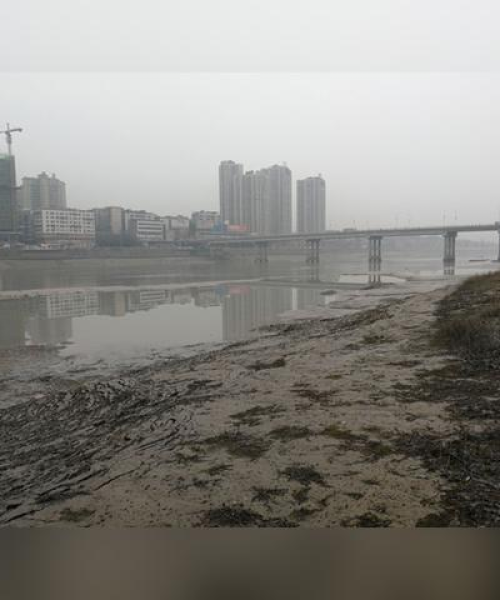简阳最新水位情报及价格概览