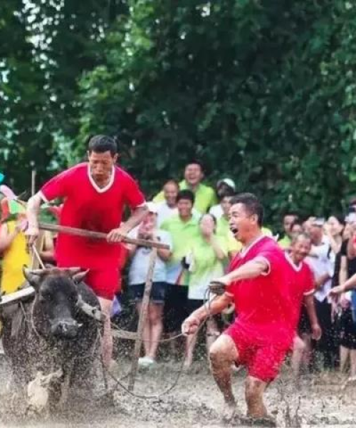 萍乡宾馆排名TOP10，住宿攻略精选推荐