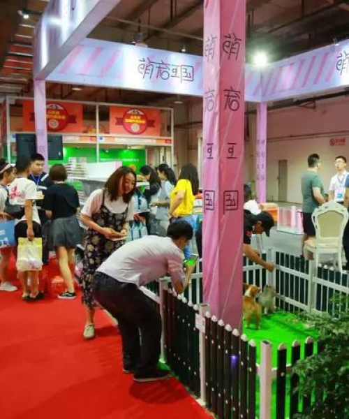 山东展会公司权威排名榜，探寻行业佼佼者