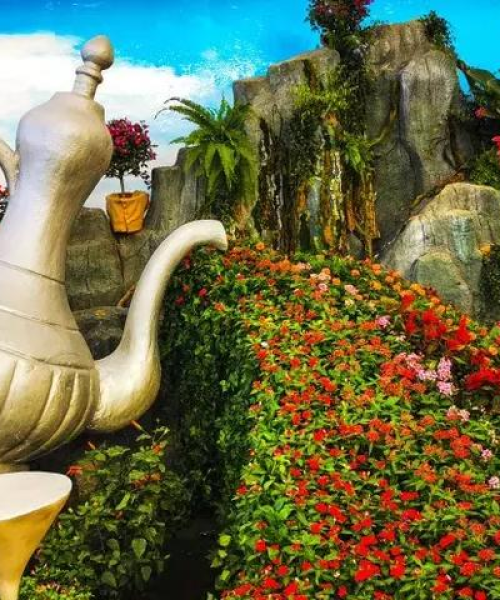 花博会深度游攻略，探秘花的盛宴，尽享绚烂时光
