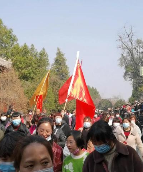 淮阳庙会今日盛况空前，万人空巷，热闹非凡最新报道
