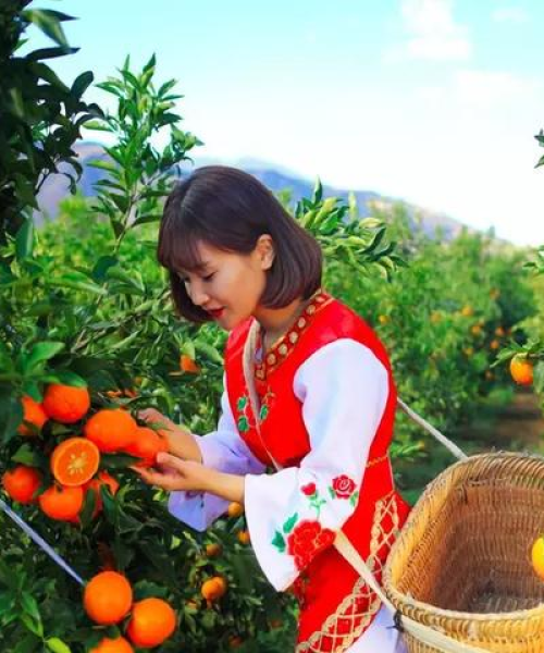钟汉良阳光励志语录，照亮人生的璀璨光芒