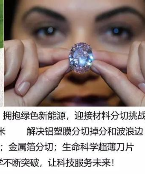 贵州齿轮真空机公司行业排名及影响力深度解析