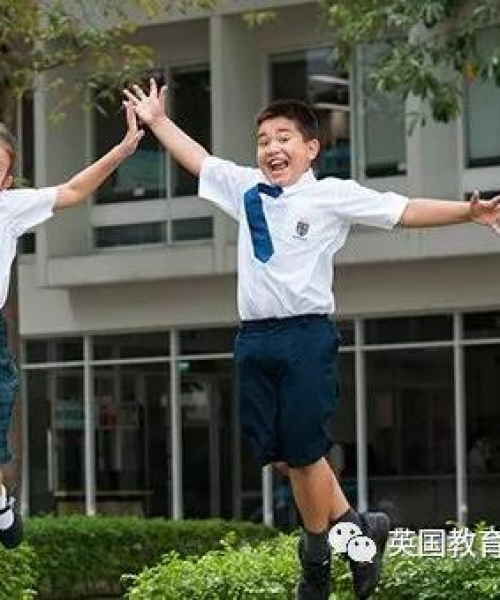 明日之后特训岛攻略秘籍，生存技巧大揭秘，轻松成为生存高手！