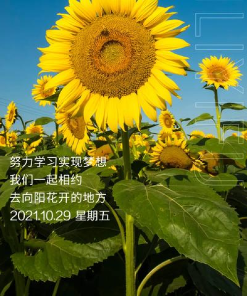 励志早晨语录，唤醒你的正能量一天