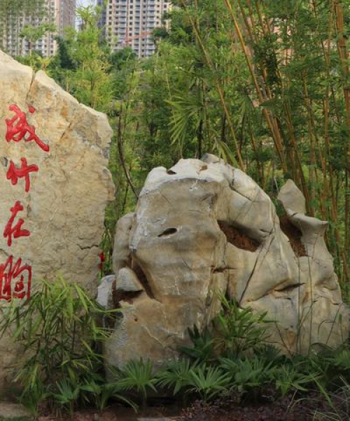 荣昌摄影攻略，探索最新拍照胜地，惊艳你的镜头！