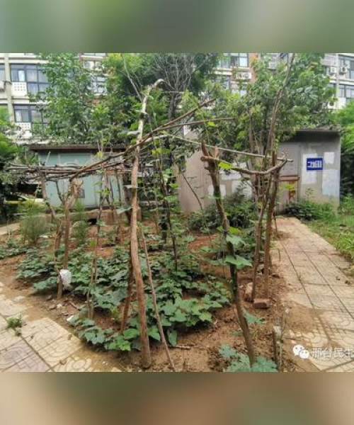 邢台车库改造住宅出售最新动态，转变中的机遇与挑战