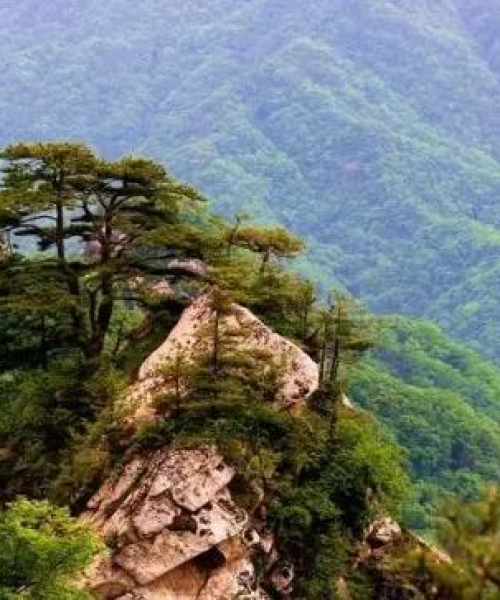 郑州至洛阳旅行攻略，最新指南全掌握
