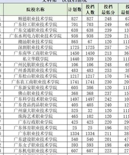 广东顶尖学子背后的成功秘诀，理科前十名背后的故事