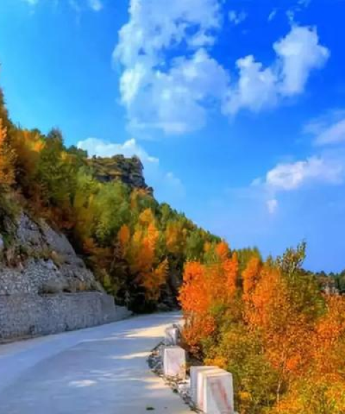 韭菜园探秘，自然美景与文化底蕴的旅游攻略