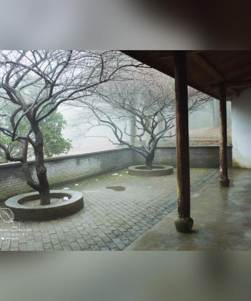 浙江美容装修公司TOP排名榜揭晓，专业打造美丽空间的艺术巨匠