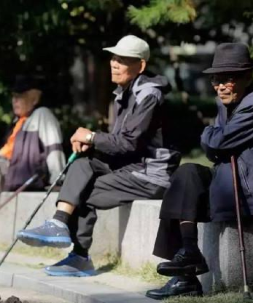 全球人口揭秘，排名、现状与未来趋势概览