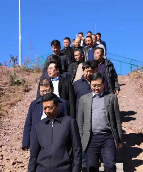 物流气象服务公司排名揭晓，行业领导者及影响力大揭秘！
