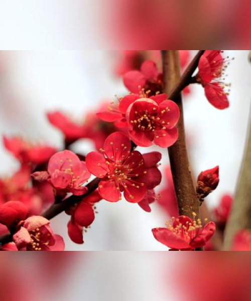 立春旅游攻略，春光之美尽收眼底，最新指南助你领略美景