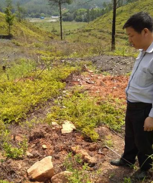 全国山火最新消息，防火形势持续严峻，今日动态关注中