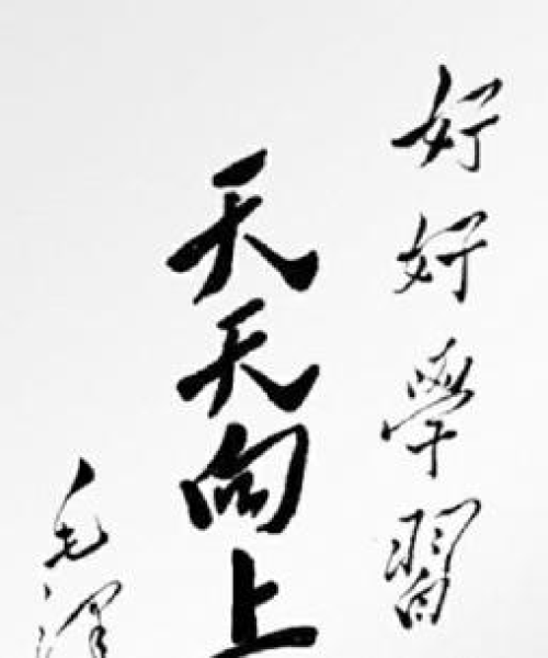 天天向上公司的实力排名与成就背后的力量解析