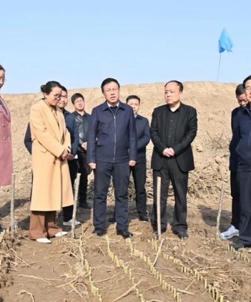 百度引领手工制作矿山车探索之旅，创意无限手工制作体验