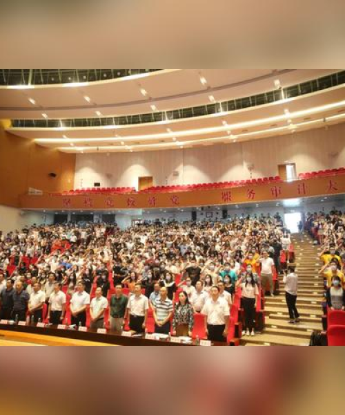 南京会计审计公司权威排名榜，揭秘南京审计行业的领军者深度解析