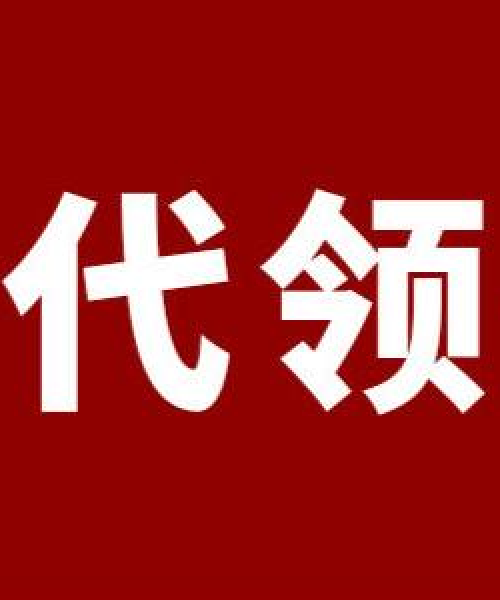 基金排名榜最新动态，今日市场洞察，投资脉搏把握！