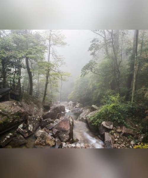 湖南烟雾公司排行榜及行业影响力深度解析