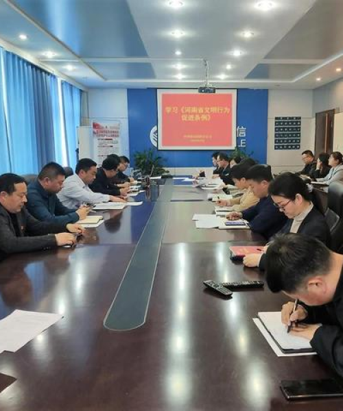 移动原阳分公司行业地位与市场影响力解析，深度探究排名与影响力