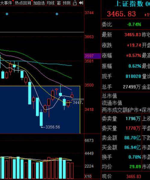 光头今日行情走势深度解析