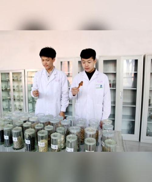 兴义服装市场趋势解析与最新招聘动态分享