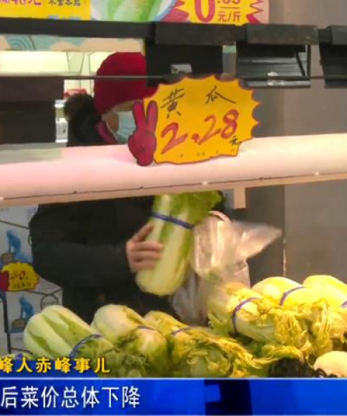 赤峰蔬菜最新菜价表格与市场动态深度解析