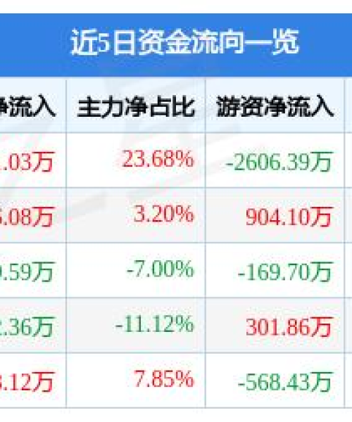 海南赛马盛事，速度与激情的极致碰撞新闻头条