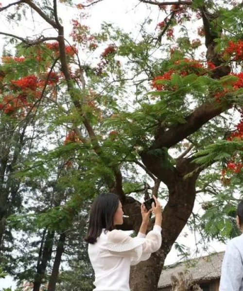 玉溪旅游攻略网，探索别样风情，畅游玉溪之美